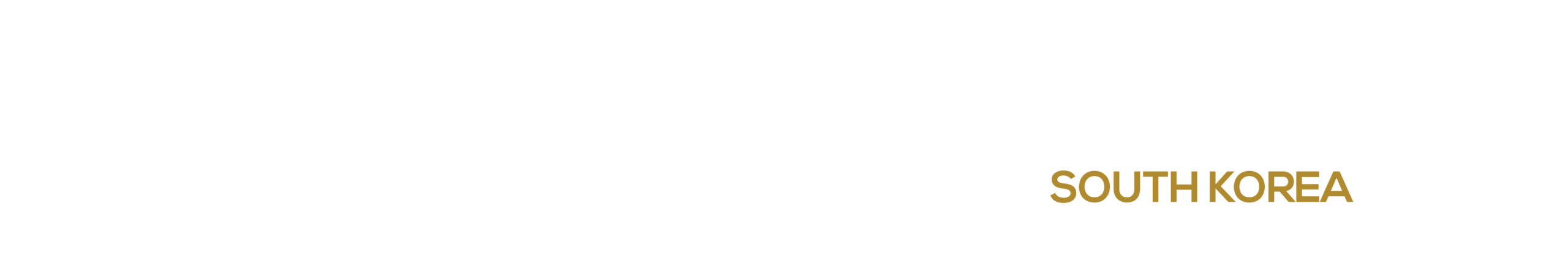 HW260422 70933 – 2nd World RNA-Based Therapeutics & Vaccines Summit South Korea logo BRAND WO
